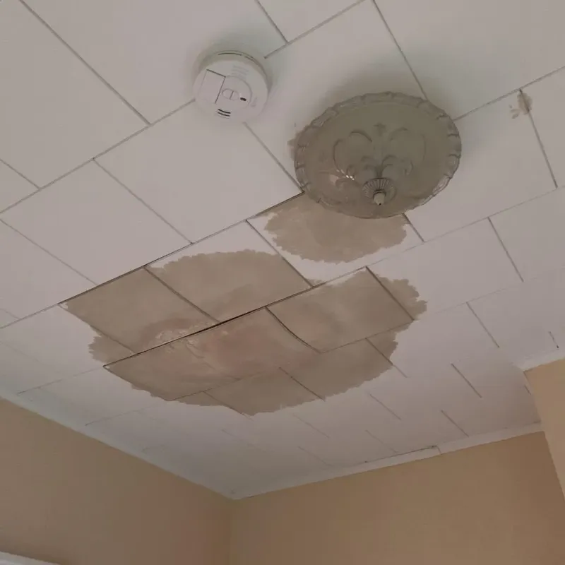 Ceiling Water Damage Repair in New Lenox, IL