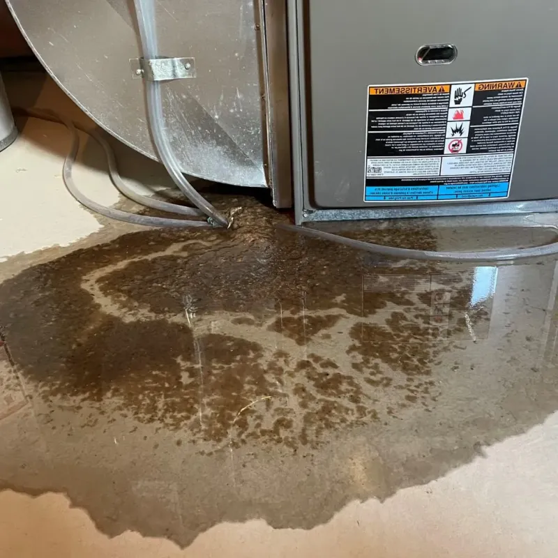 Pipe Burst and Leak Restoration in New Lenox, IL